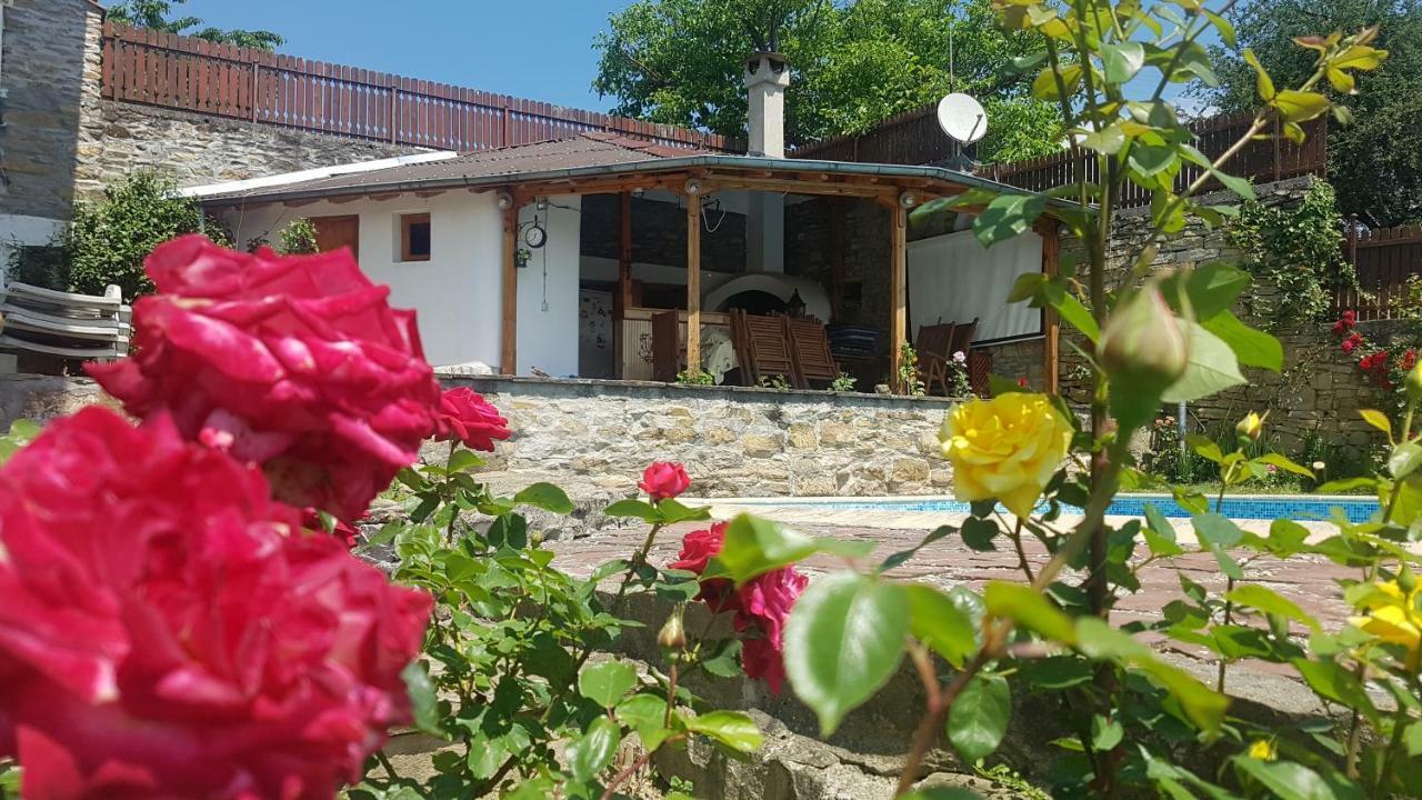 Rosarium Residence Guest House Dryanovo Eksteriør billede